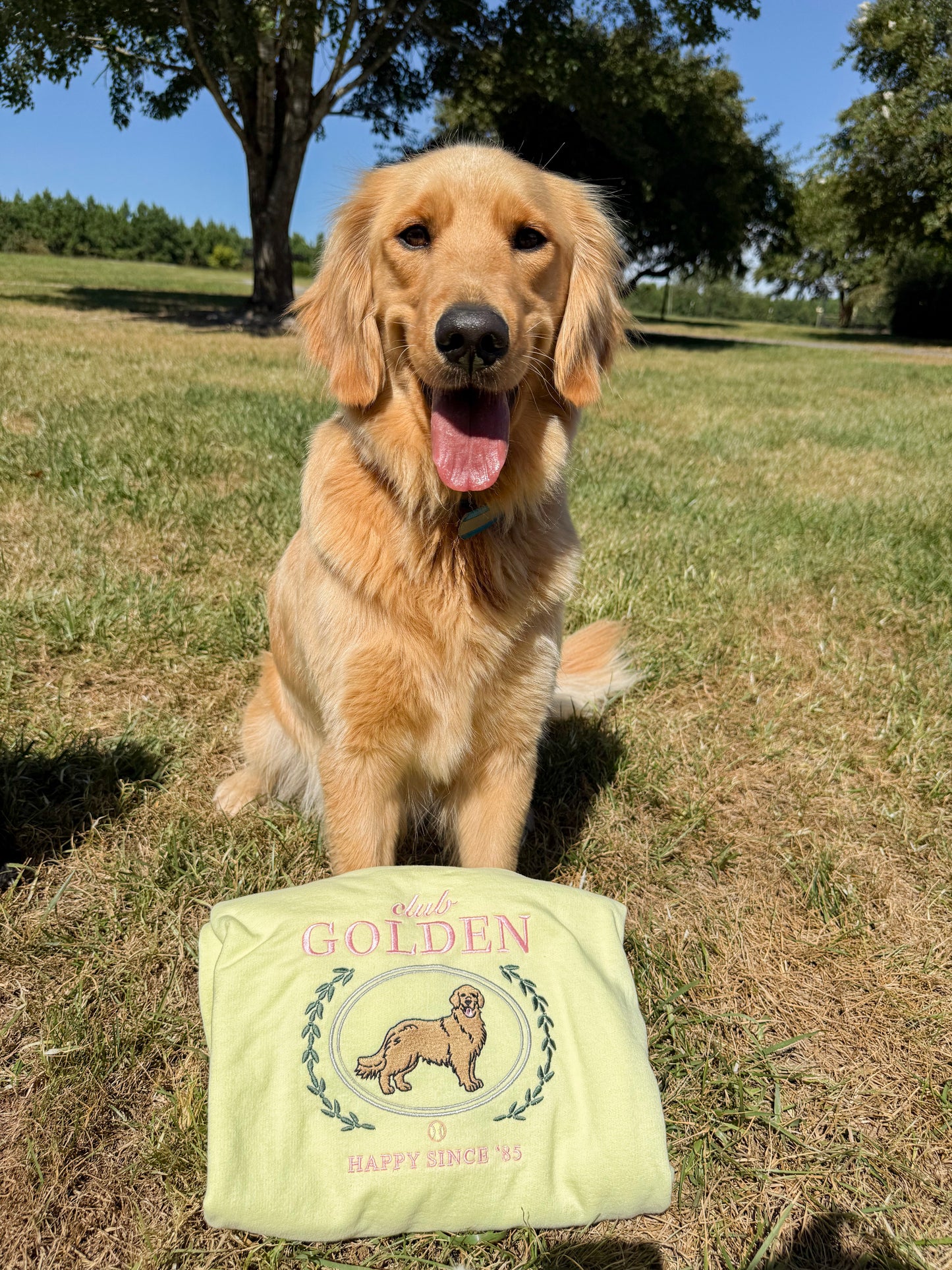 Golden Retriever Club Embroidered Crewneck Sweatshirt