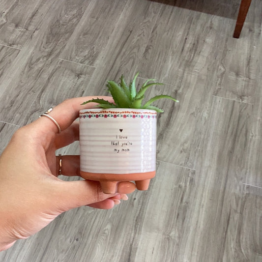 Mom Plant Pot